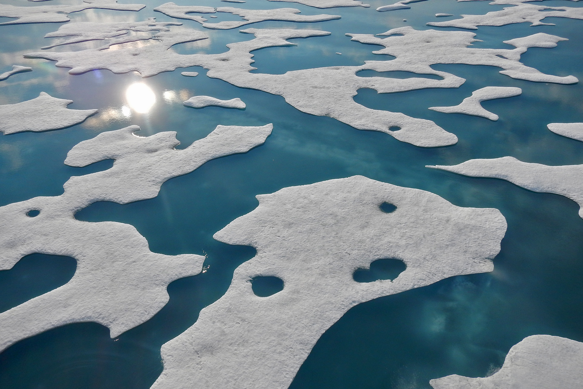 Arctic Region - Arctic Centre