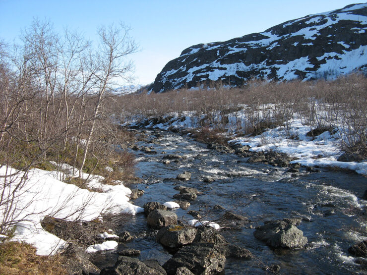 Springtime landscape with rives and mountain.