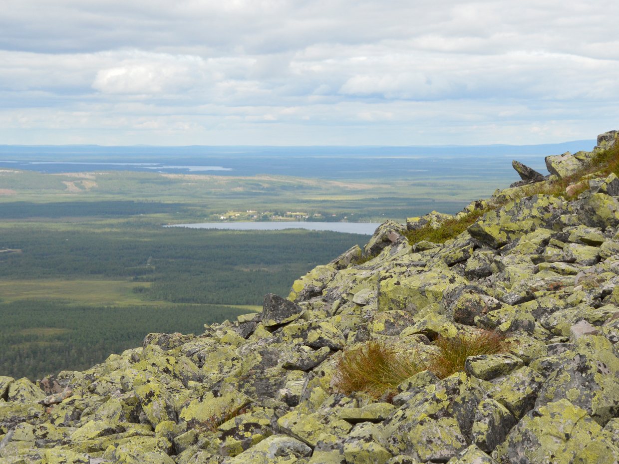 Kivikkoinen tunturimaisema Lapista.